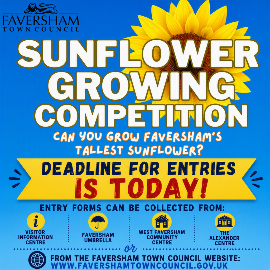 Sunflower Competition 2026